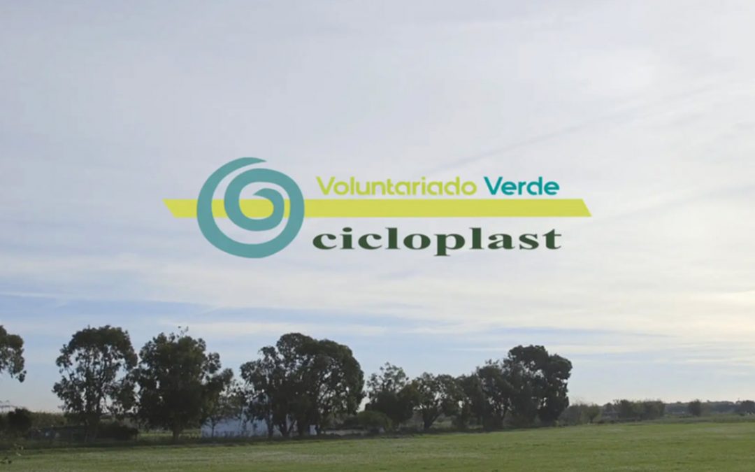Cicloplast