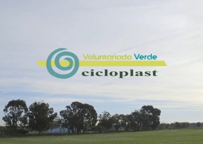 Cicloplast